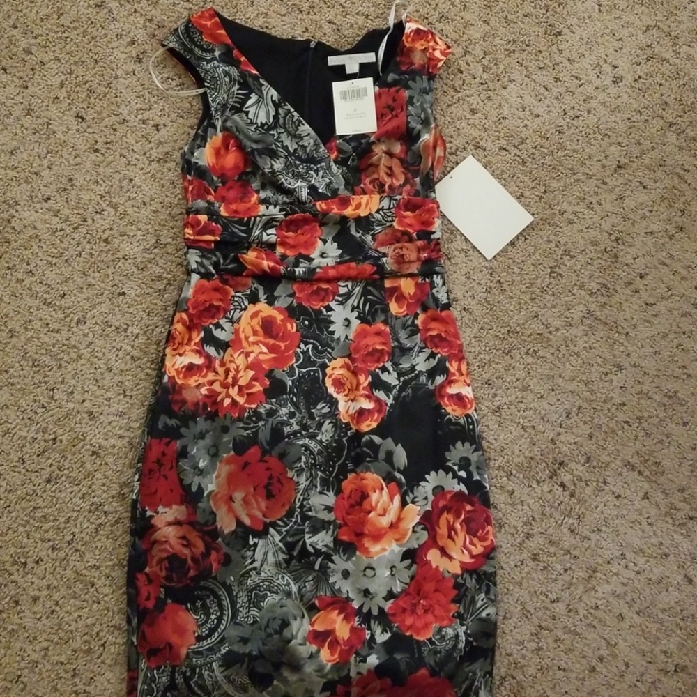 Boston Proper Dress